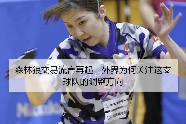 森林狼交易流言再起，外界为何关注这支球队的调整方向
